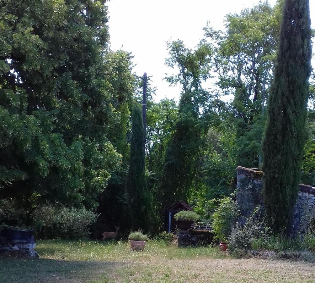 Fargues  Domaine De Seguela B&B 외부 사진