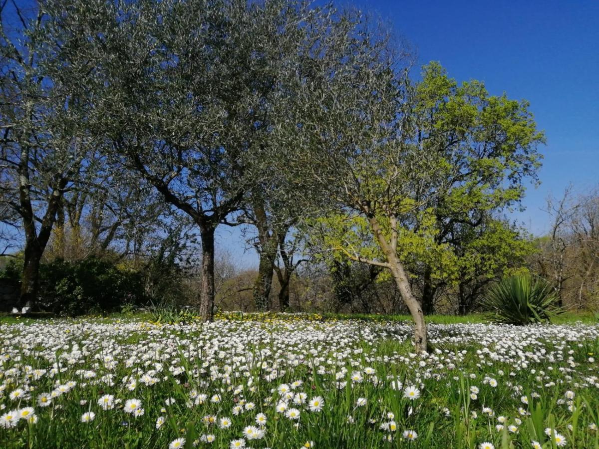 Fargues  Domaine De Seguela B&B 외부 사진