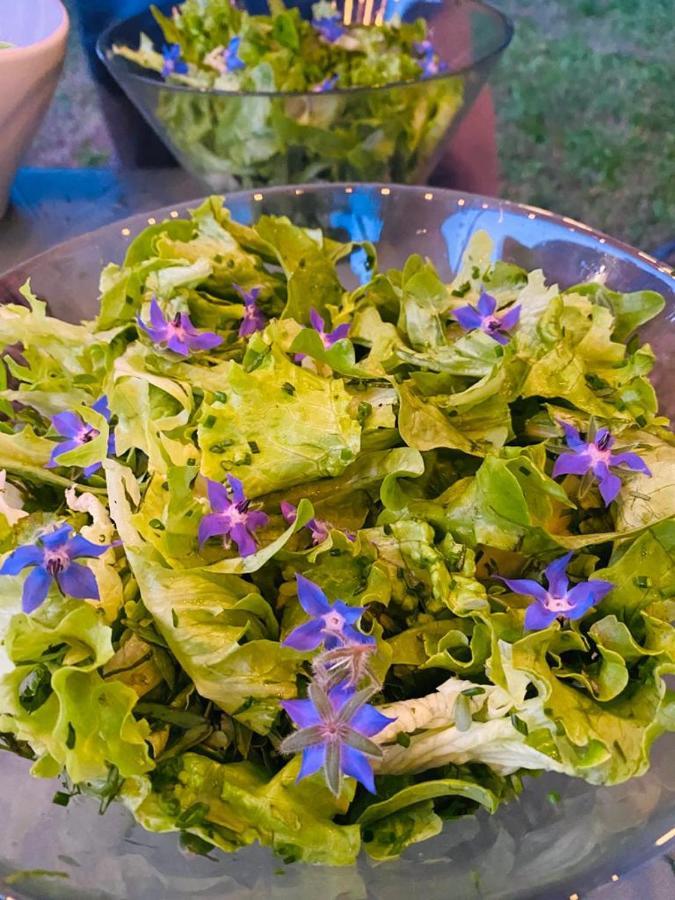 Fargues  Domaine De Seguela B&B 외부 사진
